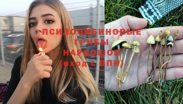 спиды Абинск