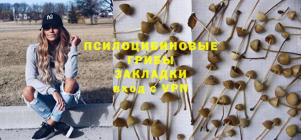 спиды Абинск