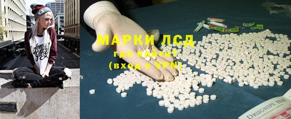 стаф Пересвет