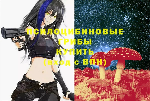эйфоретик Билибино
